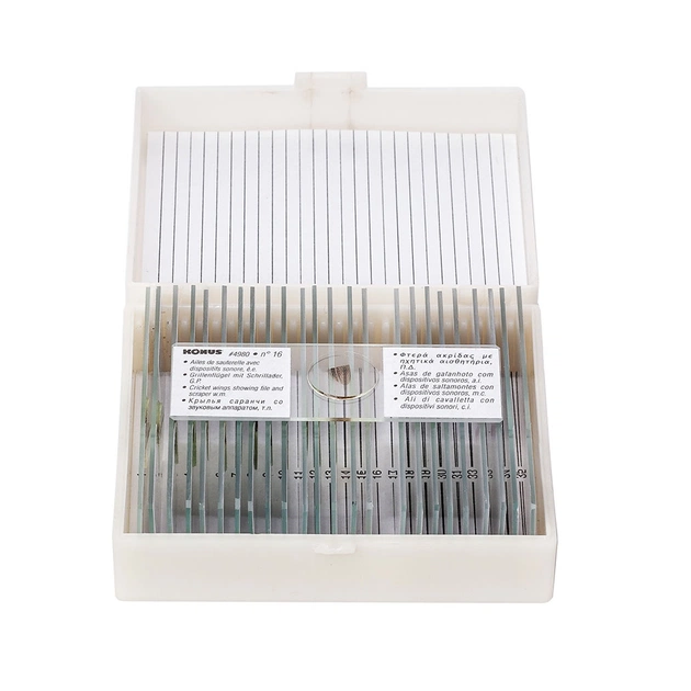 Набір мікропрепаратів Konus Біологія Клітини і тканини тварин 25 шт (4986) - picture 1