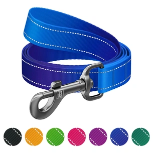 Повідець для собак WAUDOG Nylon Mono світловідбивний, S, Ш 15 мм, Д 200 см, синій (463512) зображення 1