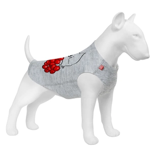 Борцівка для тварин WAUDOG Clothes "Калина" XS25 (292-0228) зображення 1