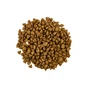 Сухий корм для кішок Savory Adult Cat Steril Fresh Lamb and Chicken 400 г (4820232630105) - зменшене зображення 4