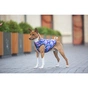 Курточка для тварин WAUDOG Clothes "Рік і Морті 1" XS30 (0930-0280) - зменшене зображення 2