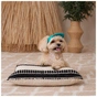Кепка для тварин Pet Fashion Topaz ХL (4823082445943) - зменшене зображення 6