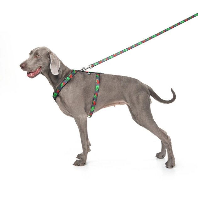 Шлея для собак WAUDOG Nylon з QR паспортом анатомічна H-подібна "Калина" L (5160-0228) - picture 3