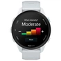 Смарт-часы Garmin Forerunner 70, GPS, Whitestone, GPS смарт-годинник (010-04307-01) - уменьшенное изображение 7
