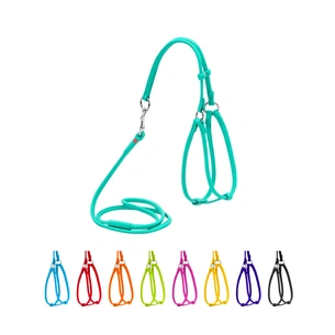 Шлея для собак WAUDOG Glamour кругла, з повідцем XXS ментолова (340113) зображення 1