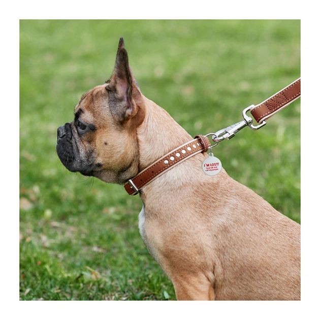 Нашийник для тварин WAUDOG Soft з QR паспортом металічні прикраси XS коричневий (7195) - picture 3