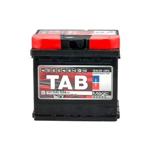 Акумулятор автомобільний TAB 55 Ah/12V Magic Euro (189 058) зображення 1