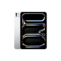 Планшет Apple iPad Pro 11" M4 WiFi 1TB with Standard glass Silver (MVVF3NF/A) - зменшене зображення 1