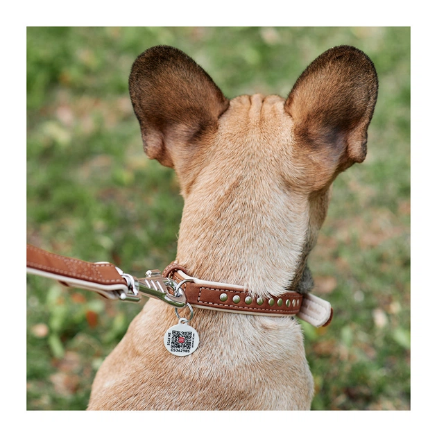 Нашийник для тварин WAUDOG Soft з QR паспортом металічні прикраси XS коричневий (7195) - picture 4