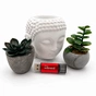USB флеш накопитель Wibrand 32GB Ladybug Red USB 3.2 (WI3.2/LB32P10S) - уменьшенное изображение 6