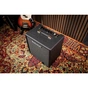 Комбоусилитель Blackstar Debut Bass 25 (302021) - уменьшенное изображение 5