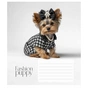 Тетрадь Школярик Star Fashion pets 18 листов линия (018-3687L) - уменьшенное изображение 1