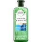 Шампунь Herbal Essences Алое та бамбук 380 мл (8001841501840) - зменшене зображення 1