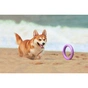 Іграшка для собак Puller Midi 20 см 2шт (6488) - зменшене зображення 5