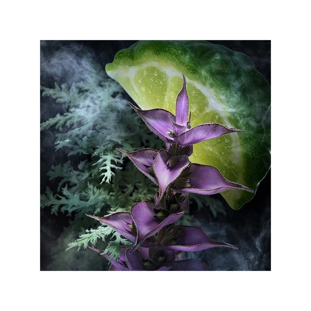 Туалетна вода Davidoff Champion 90 мл (3607340188602) - picture 5