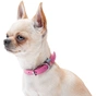 Нашийник для тварин WAUDOG Classic шкіряний 12 мм х 19-25 см рожевий (02017) - уменьшенное изображение 6