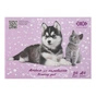 Альбом для малювання ZiBi Kids Line JGRAY FLUFFY А4 24 арк., 120 г/м2, на скобі, бузковий (ZB.1432-26) - зменшене зображення 1