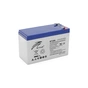 Батарея к ИБП Ritar RT1290, 12V 9.0Ah (RT1290 Q12) - уменьшенное изображение 1