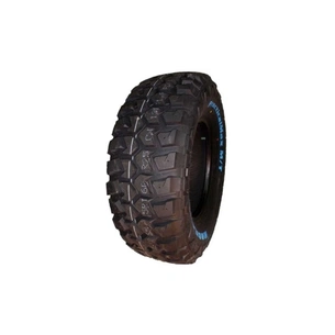 Шина Kapsen 235/65R17 109/105Q RS25 (RS252356517LT) зображення 1