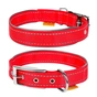 Нашийник для тварин Collar Dog Extremе 25 мм 38-48 см (червоний) (67043) - зменшене зображення 1