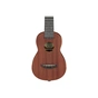 Укулеле Ibanez UKS100-OPN (232727) - уменьшенное изображение 4