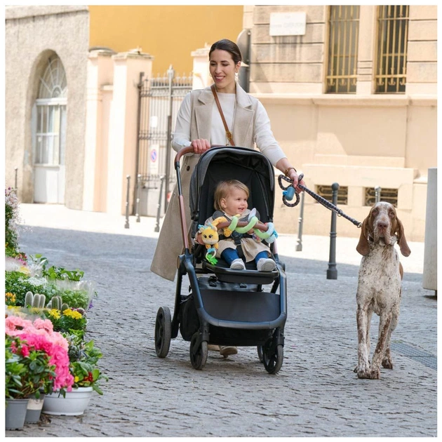 Іграшка на коляску Chicco Пані жирафа (11562.00) - picture 5