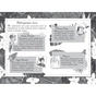 Книга Агата Містері. Примарний острів. Спецвипуск 5 - Сер Стів Стівенсон Видавництво РМ (9786178248475) - зменшене зображення 5