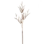 Декоративна гілка YES! Fun Тернова,46 см, золото (973900) - preview 1