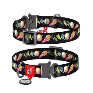 Нашийник для тварин WAUDOG Nylon з QR паспортом "Рік і Морті 3" металева пряжка-фастекс L (4507-0282) зображення 1