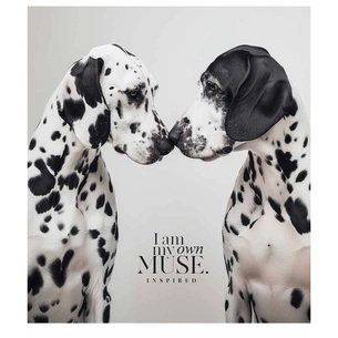 Зошит Школярик Main portrait 96 аркушів клітинка (096-3476K) зображення 1