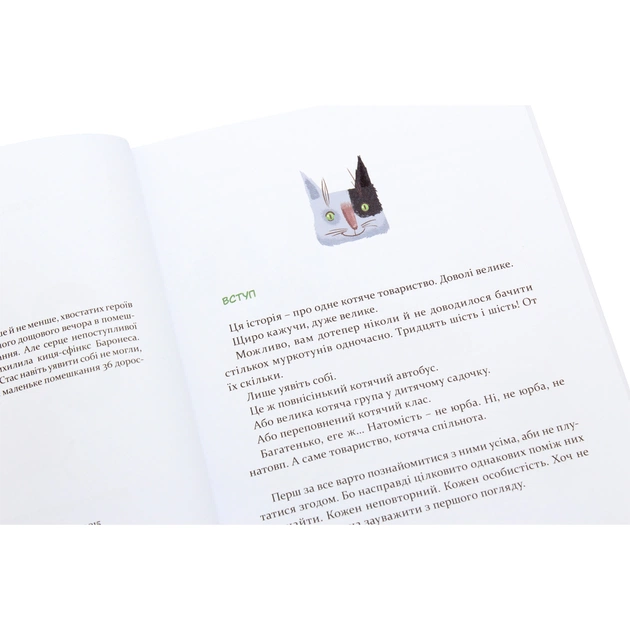 Книга 36 і 6 котів. Книга 1 - Галина Вдовиченко Видавництво Старого Лева (9786176791294) - зображення 4