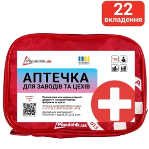 Автомобільна аптечка Poputchik 02-051-М picture 1
