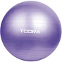 М'яч для фітнесу Toorx Gym Ball 75 cm Purple (AHF-013) (929488) - зменшене зображення 1