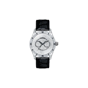 Наручний годинник Temporis T027LS.04 зображення 1