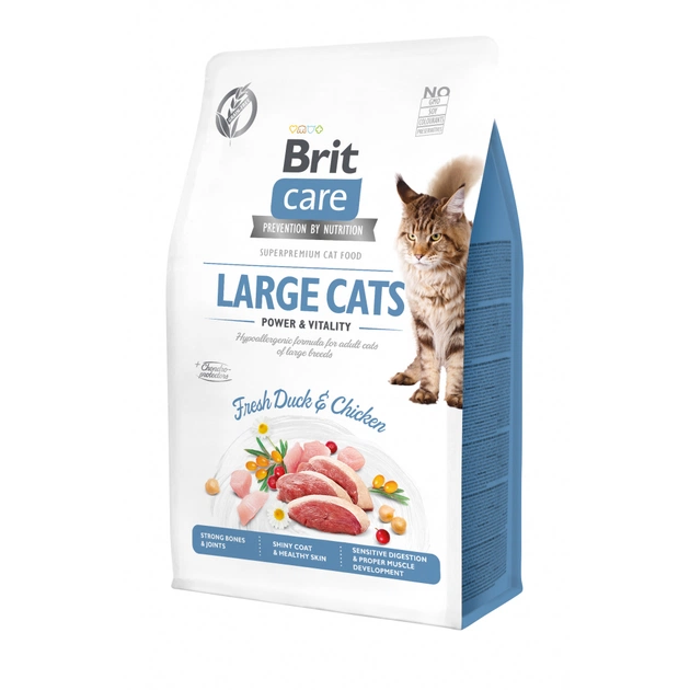 Сухий корм для кішок Brit Care Cat GF Large cats Power and Vitality 400 г (8595602540921) - зображення 1