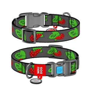 Нашийник для тварин WAUDOG Nylon з QR паспортом "Калина" пластиковий фастекс S (4501-0228) зображення 1
