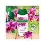 Гель для душу Palmolive Натурель Розкішна м'якість Екстракт чорної орхідеї зі зволожуючим молочком 250 мл (8693495031066) - зменшене зображення 3