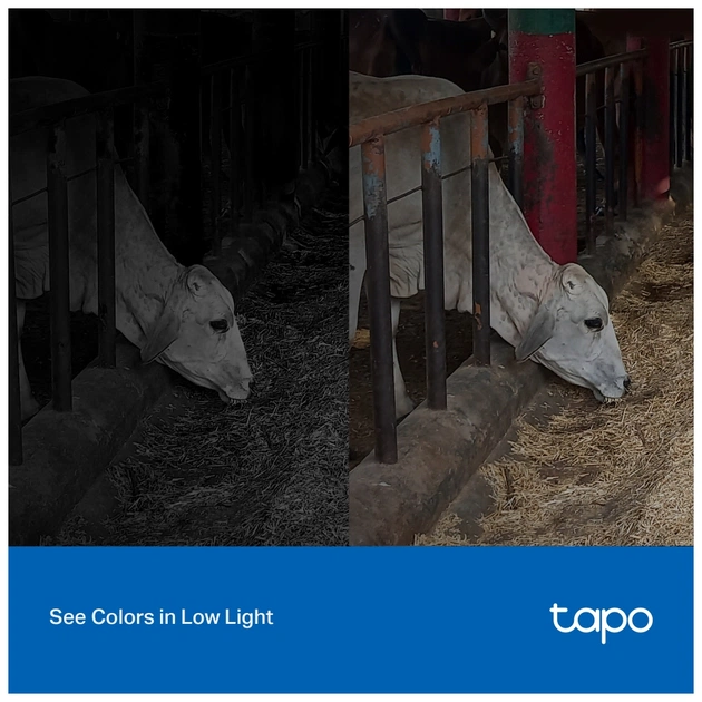 Камера відеоспостереження TP-Link TAPO-C320WS - picture 9