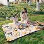 Туристичний килимок Naturehike Picnic Mat L 210 x 240 см NH21FCD0 (6927595774168) - зменшене зображення 3