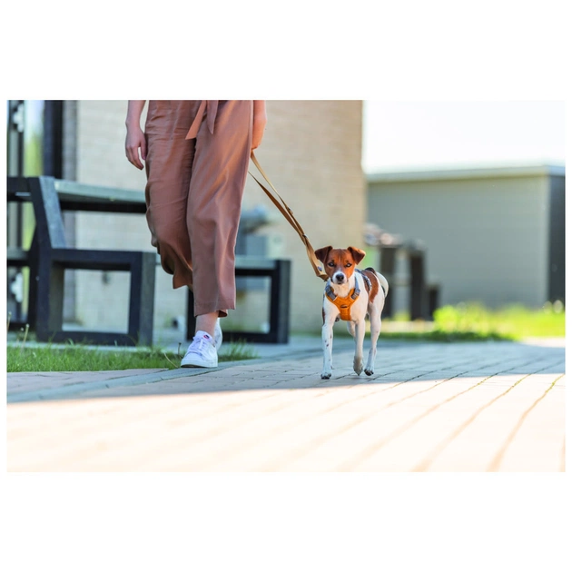 Повідець для собак Trixie Premium регульований XS-S 2 м 15 мм оранжевий (4053032671645) - зображення 3