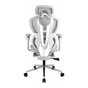 Крісло ігрове GT Racer X-7002 Gray/Gray/Light Gray (X-7002 Gray/Gray/Light Gray (Massage)) - зменшене зображення 7