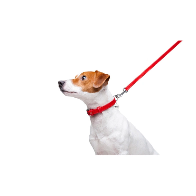 Повідець для собак WAUDOG Glamour шкіряний XS червоний (33723) - зображення 5