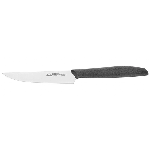 Кухонний ніж Due Cigni 1896 Steak Knife 105 mm (1003 PP) - изображение 1