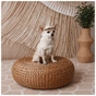Кепка для тварин Pet Fashion Gold L (4823082446025) - зменшене зображення 7