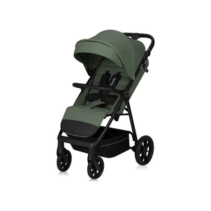 Коляска Lionelo Julie Iva Green Forest (LO-IVA GREEN FOREST) зображення 1