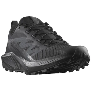 Кросівки Salomon Sense Ride 5 SR Black 11.5 (L47377600-11.5) зображення 1