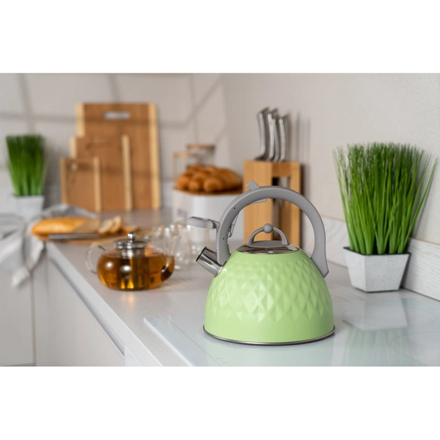 Чайник Ardesto Gemini 2.5 л Green (AR1947KG) - зображення 5