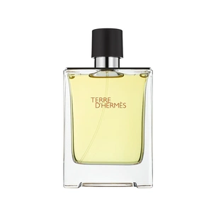 Туалетна вода Hermes Terre d'Hermes 50 мл (3346131400041) зображення 1