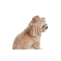 Кепка для животных Pet Fashion Print L (4823082446087) - уменьшенное изображение 4