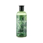 Тонік для обличчя FarmStay 76 Green Tea Seed Premium Moisture Toner 350 мл (8809809800192) - preview 4